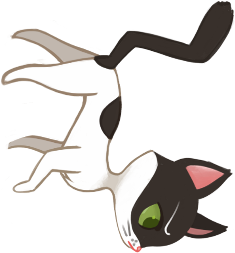 Un gato se acerca